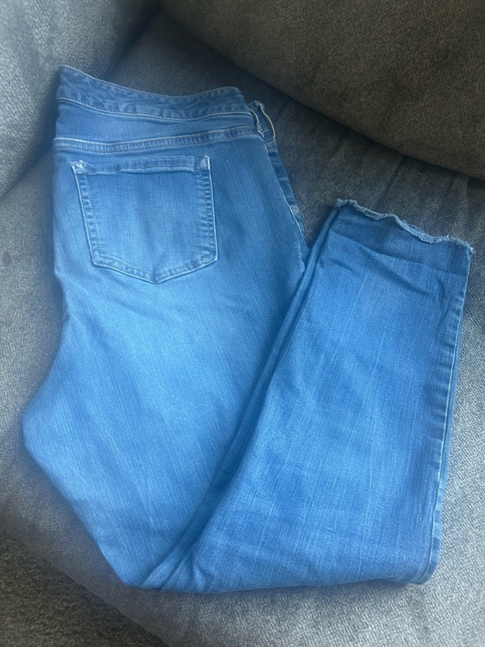 torrid Skinny Jeans in Medium Blue with Raw Hem